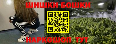 a pvp Свободный